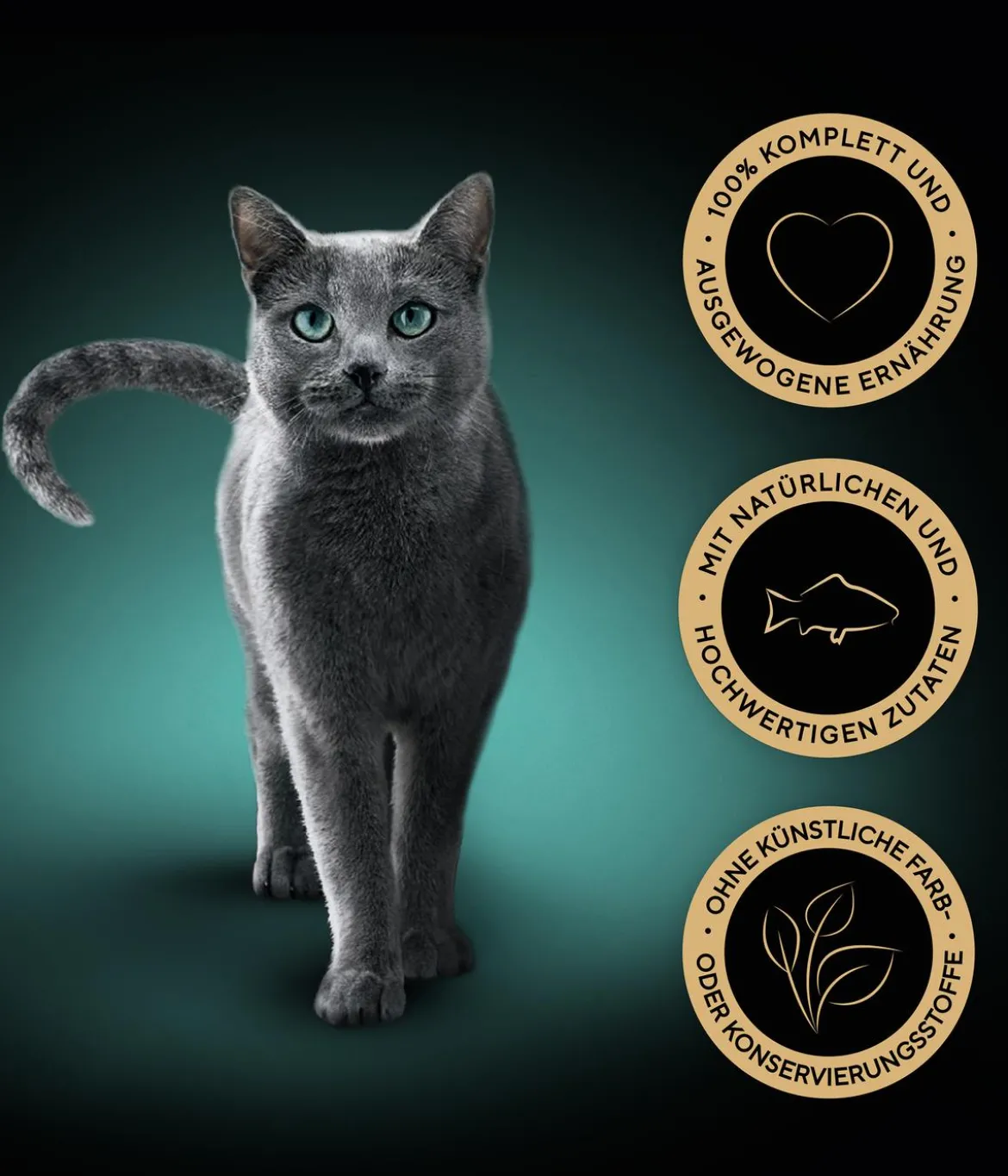 Sheba® Nassfutter für Katzen Delikatesse in Gelee, Truthahn, 28 x 85 g