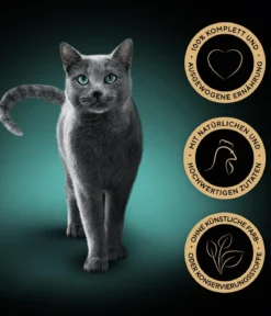 Sheba® Nassfutter für Katzen Selection in Sauce, 28 x 85 g