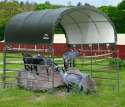Shelter Logic Pferdestallüberdachung, ca. B370/H160/T370 cm
