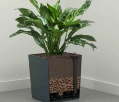 Siena Garden Kunststoff-Topf Biron, eckig, ca. B40/H41,5/T40 cm