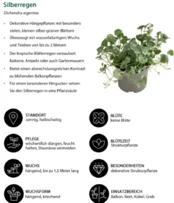 Silberregen