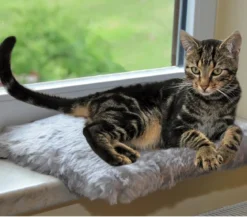 Silvio Design Fensterliege für Katzen