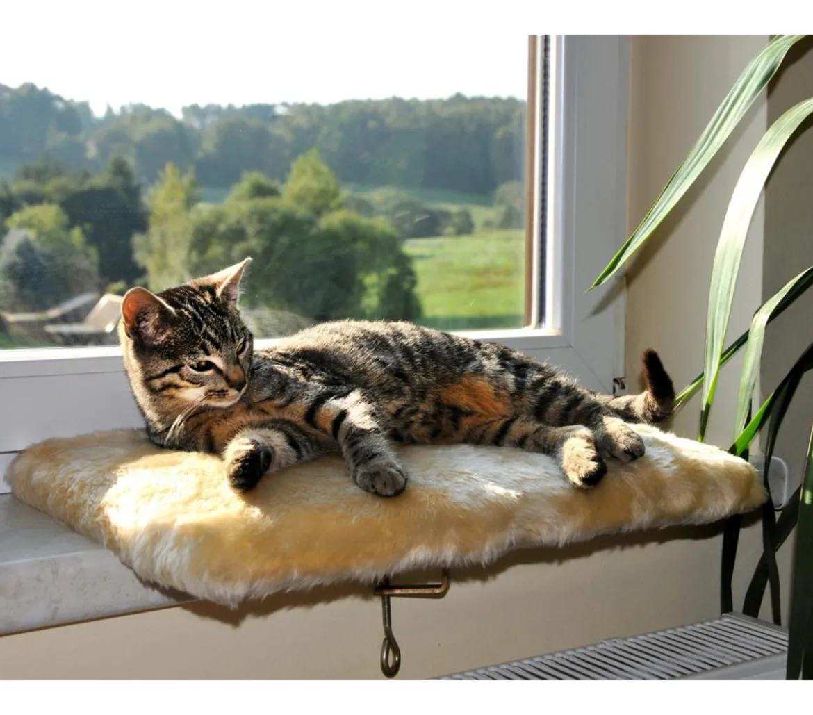 Silvio Design Fensterliege für Katzen