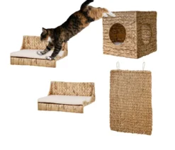 Silvio Design Kletterwand Komfort