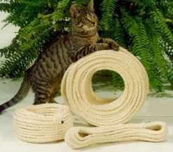 Silvio Design Sisaltauwerk für Katzen