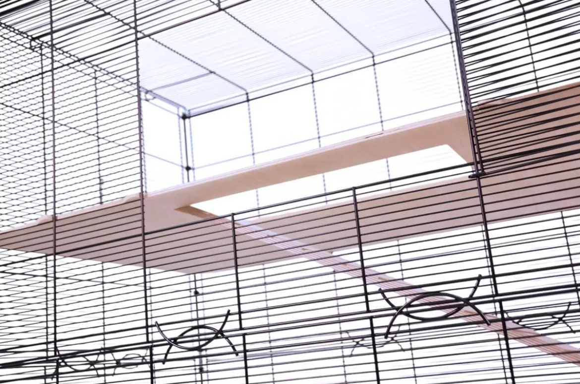 Skyline Nagerkäfig Loco Sombrero Tower, schwarz/hellgrau