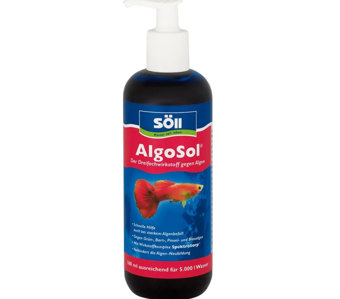 Söll AlgoSol