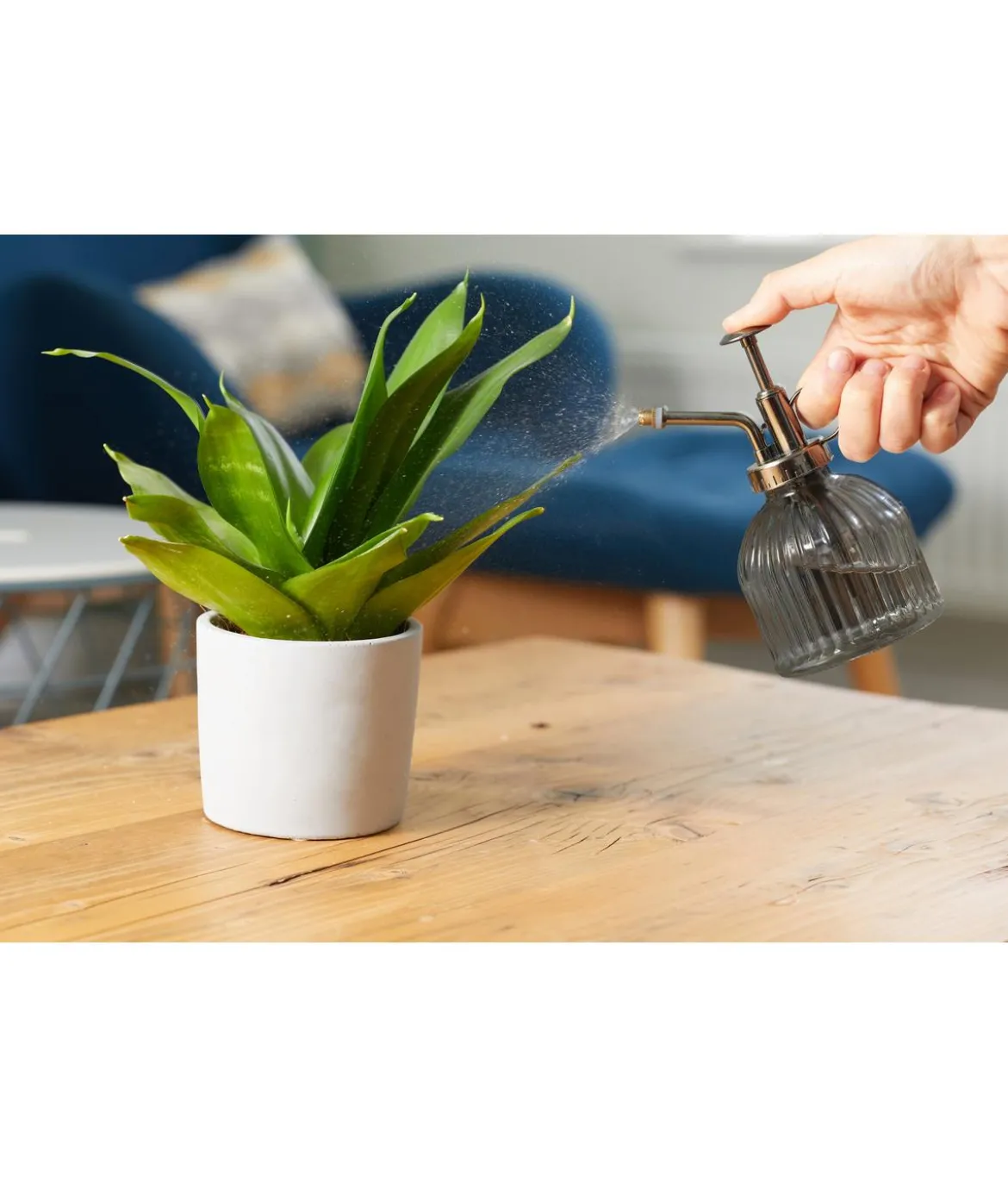 Smart Garden Pflanzensprüher, 250 ml