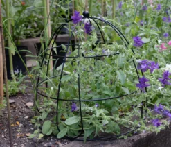 Smart Garden Pflanzkuppel, ca. Ø45/H45 cm