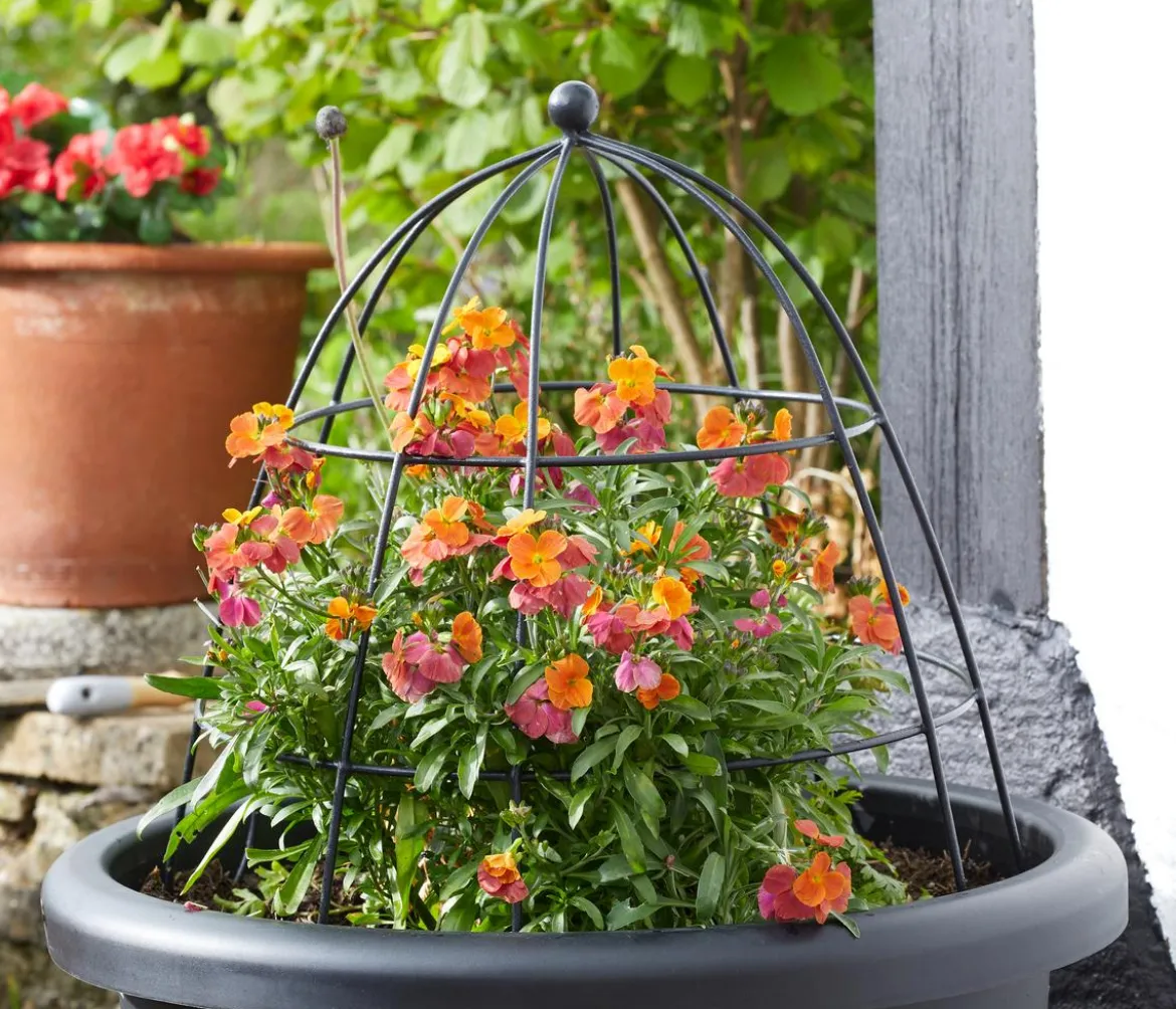Smart Garden Pflanzkuppel, ca. Ø45/H45 cm