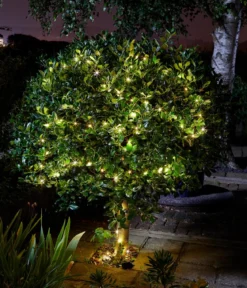 Smart Garden Solarlichterkette
