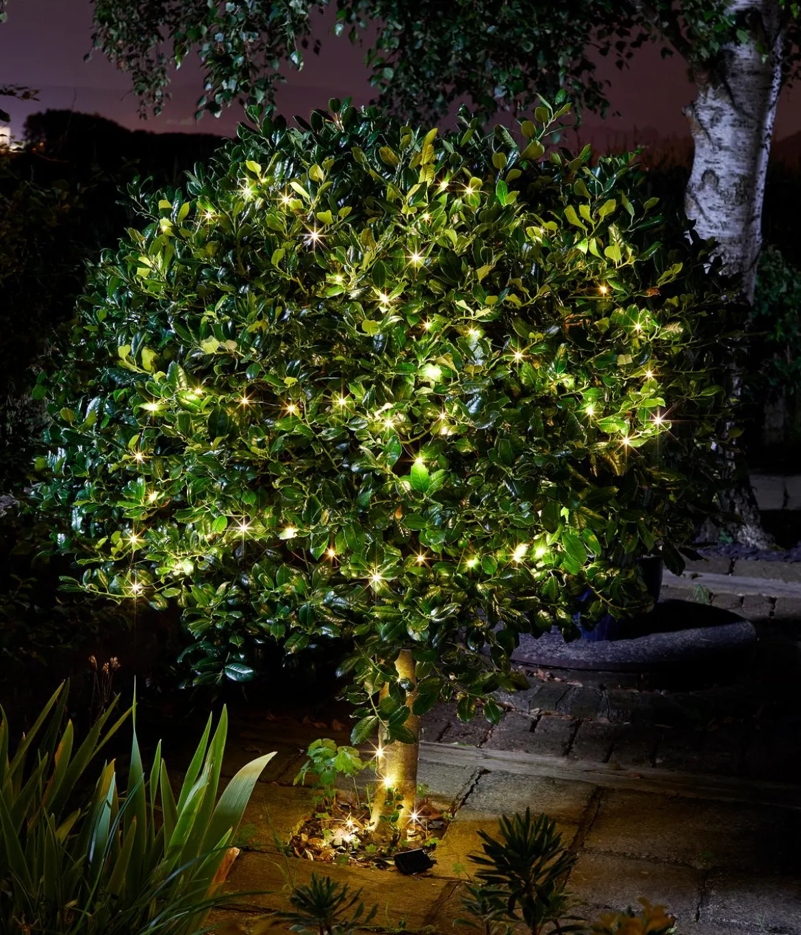 Smart Garden Solarlichterkette