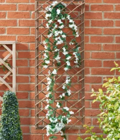 Smart Garden Weide-Spalier, ca. B45/H120/T6 cm
