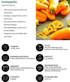 Snackpaprika, orange
