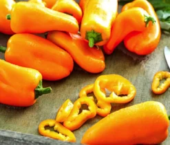 Snackpaprika, orange