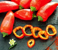Snackpaprika, rot