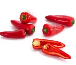 Snackpaprika, rot