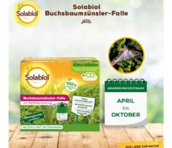 Solabiol® Buchsbaumzünsler-Falle