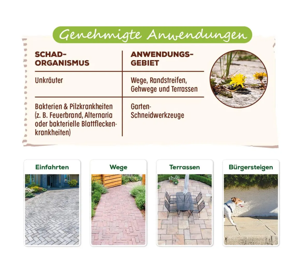 Solabiol® Grundstoff Acetum, flüssig, 3 l