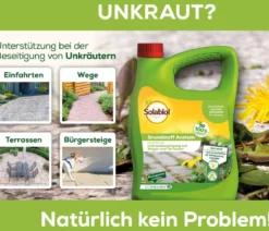 Solabiol® Grundstoff Acetum, flüssig, 3 l