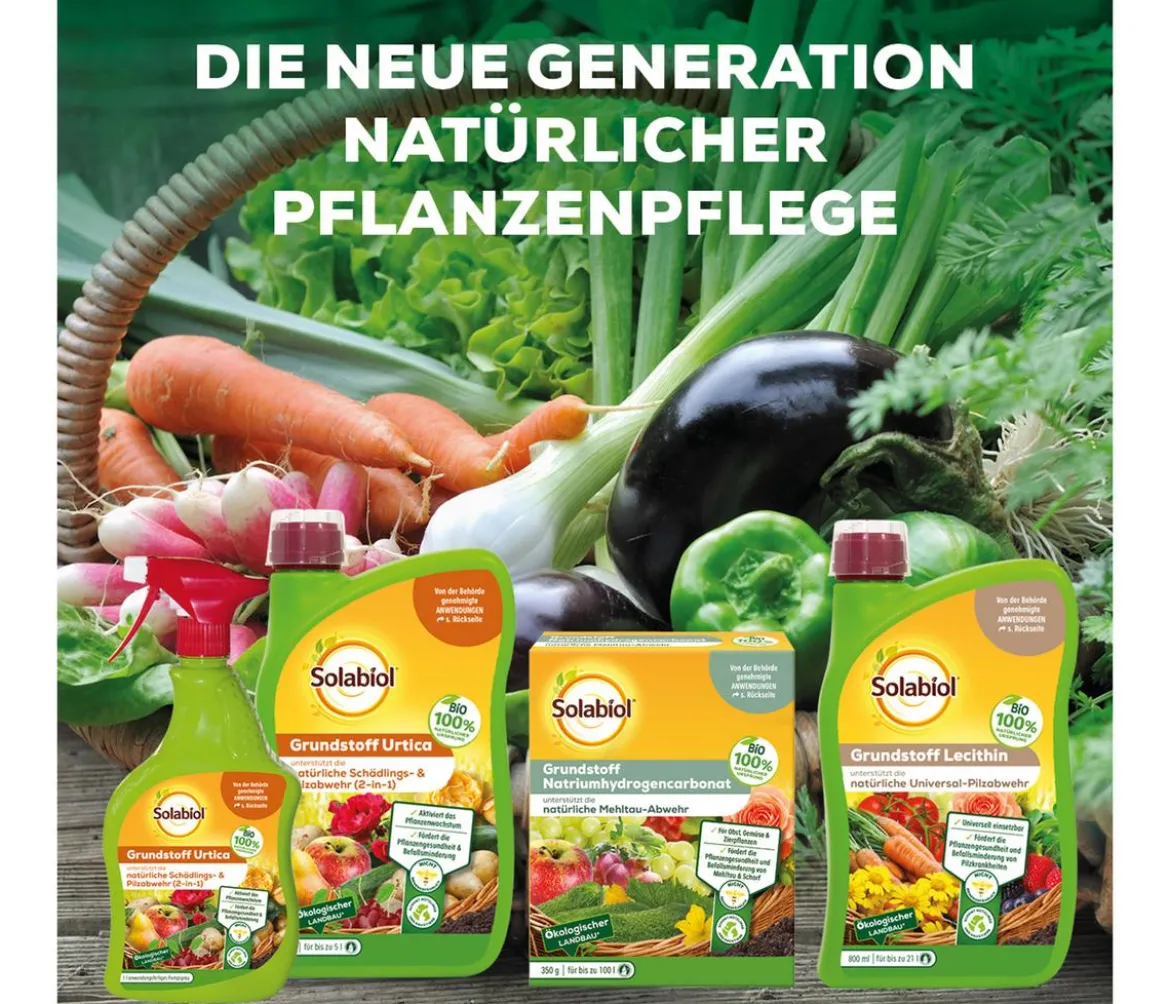 Solabiol® Grundstoff Acetum, flüssig, 3 l
