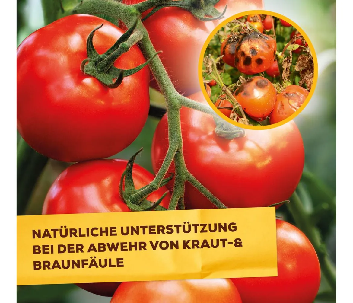 Solabiol® Grundstoff Lecithin Spray, flüssig, 1 l
