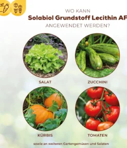 Solabiol® Grundstoff Lecithin Spray, flüssig, 1 l