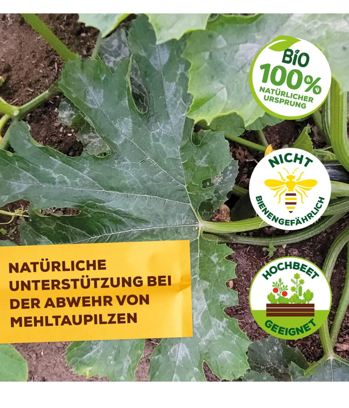 Solabiol® Grundstoff Lecithin Spray, flüssig, 1 l