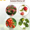 Solabiol® Pilzfrei AF, flüssig, 750 ml