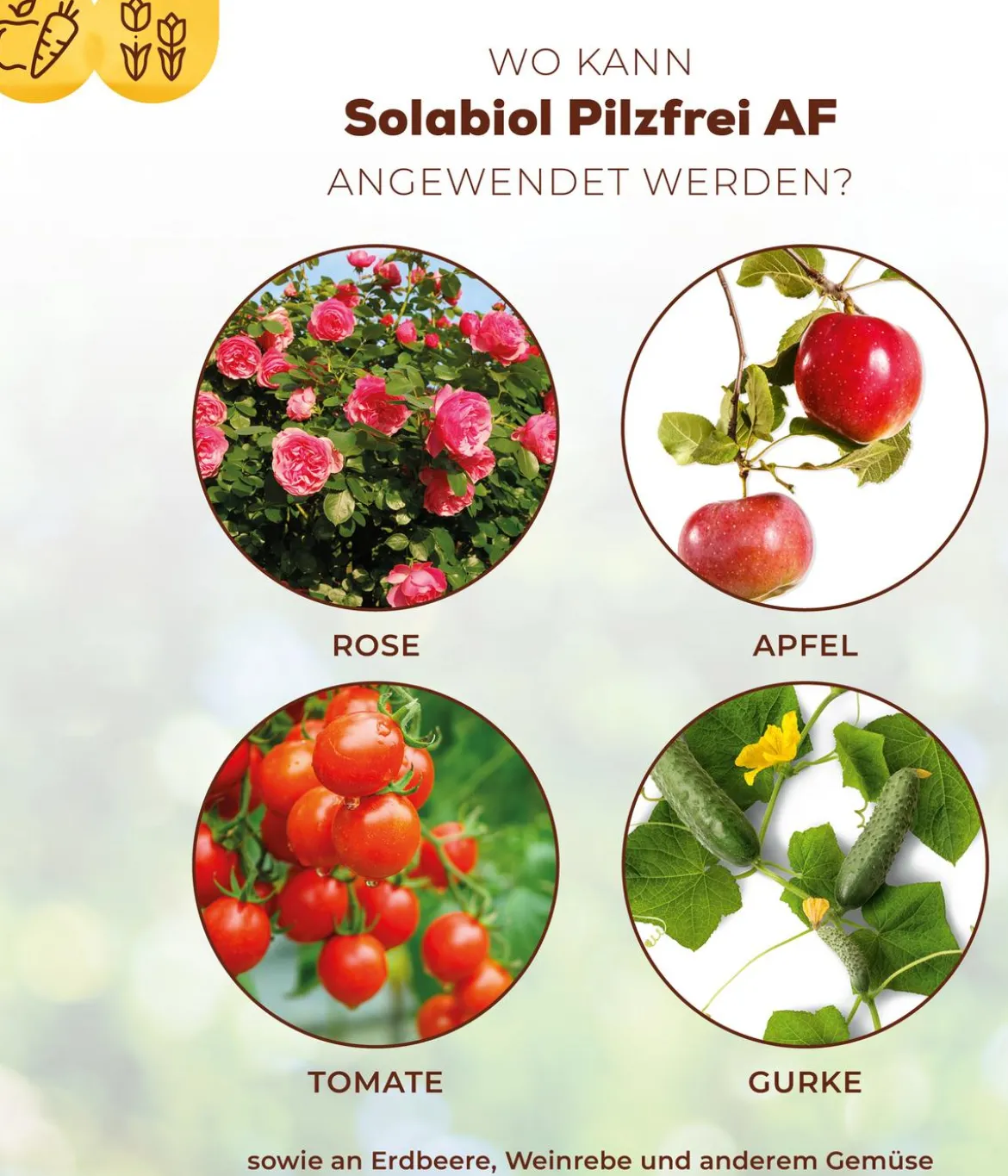 Solabiol® Pilzfrei AF, flüssig, 750 ml