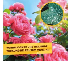 Solabiol® Pilzfrei AF, flüssig, 750 ml