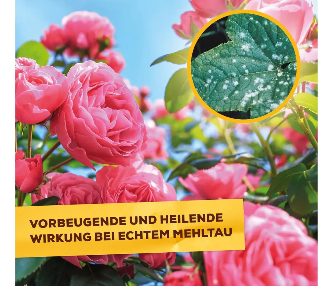 Solabiol® Pilzfrei AF, flüssig, 750 ml