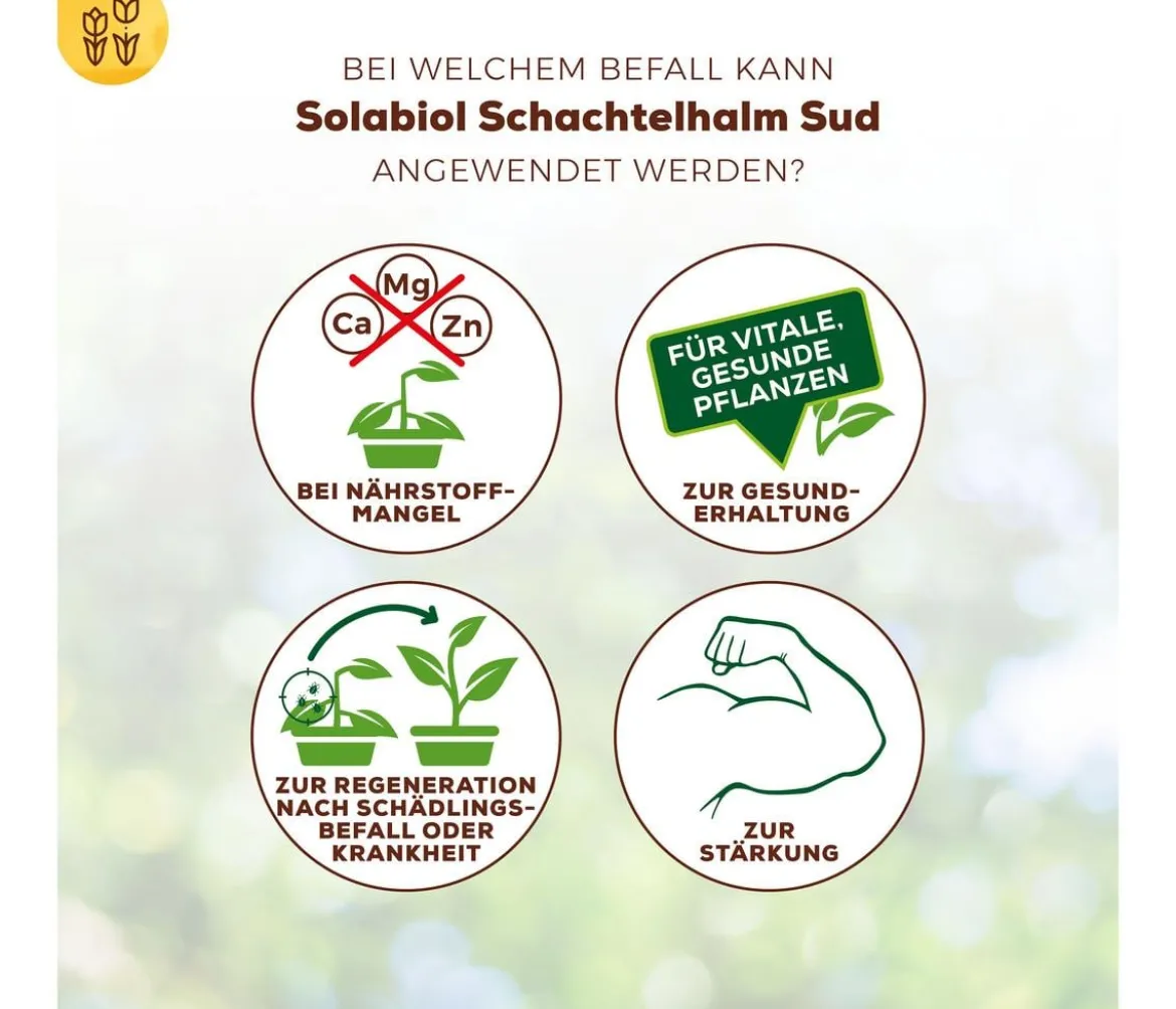 Solabiol® Schachtelhalm Sud, 1 l