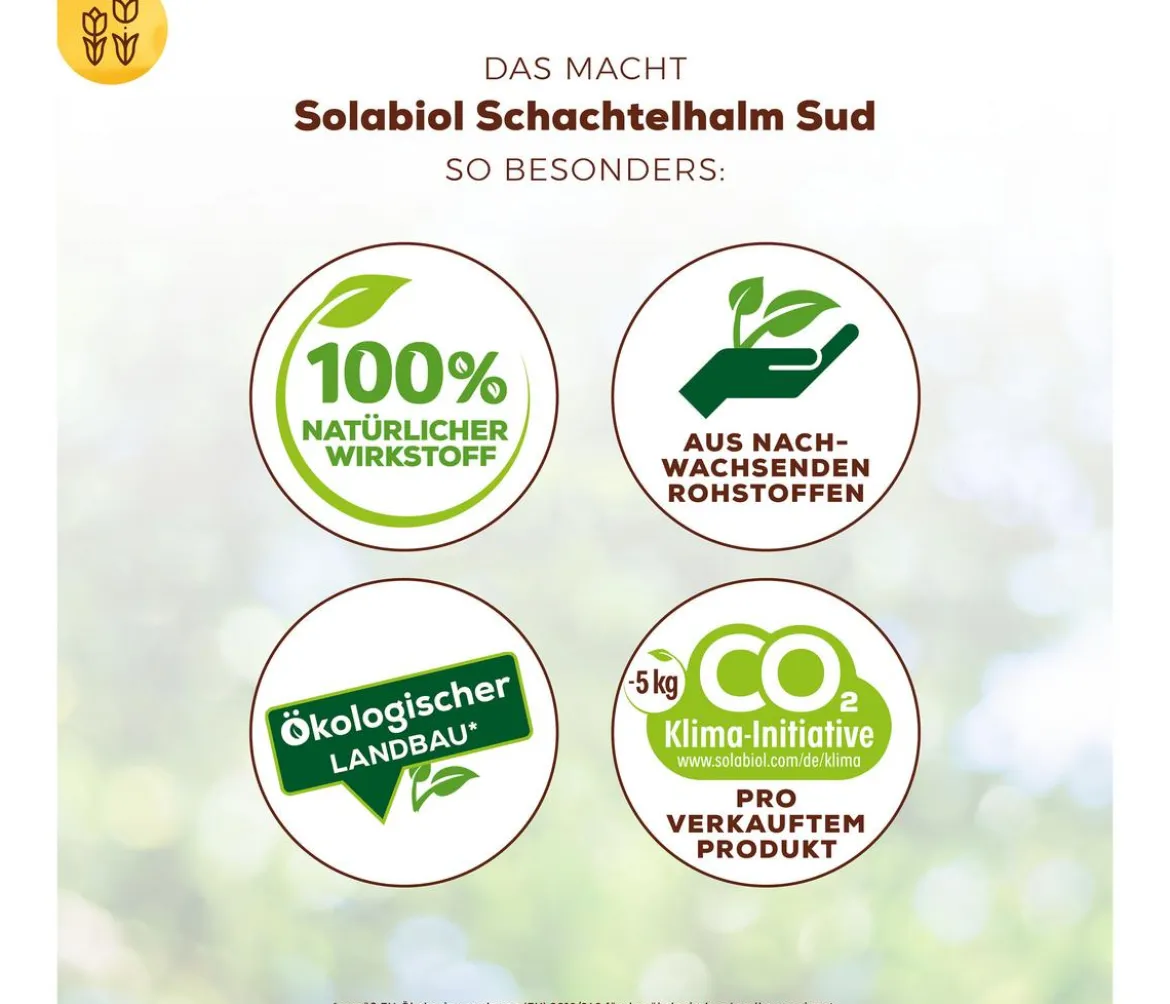 Solabiol® Schachtelhalm Sud, 1 l