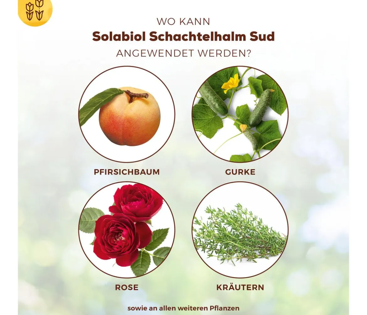 Solabiol® Schachtelhalm Sud, 1 l