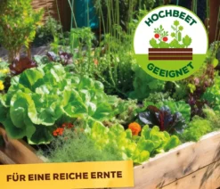 Solabiol® Veggie Boost, flüssig, 250 ml