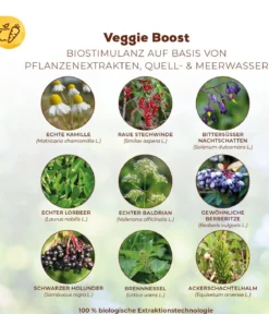 Solabiol® Veggie Boost, flüssig, 250 ml