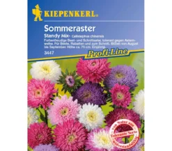 Sommeraster Standy Mix, Saatgut von Kiepenkerl