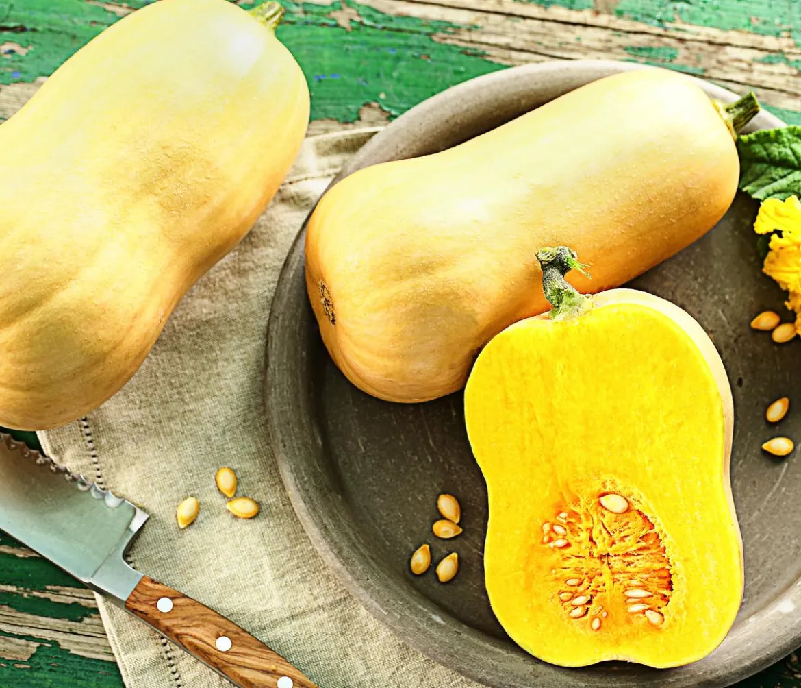 Speisekürbis 'Butternut'