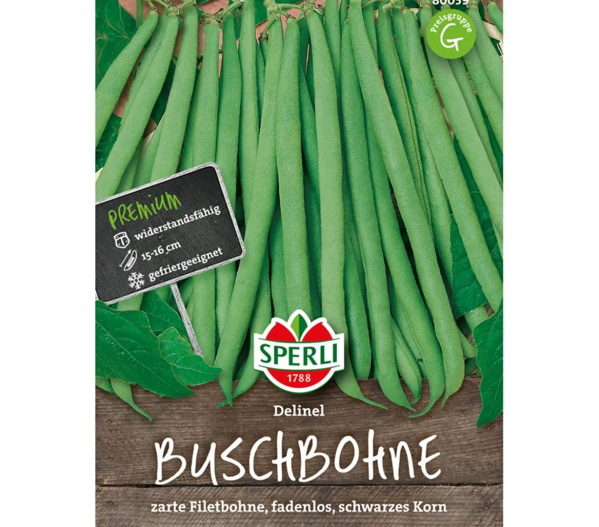 SPERLI Samen Buschbohne 'Delinel'