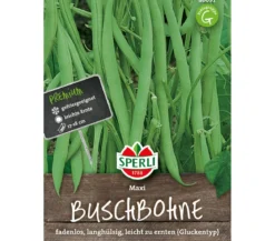 SPERLI Samen Buschbohne 'Maxi'