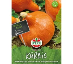 SPERLI Samen Kürbis 'Uchiki Kuri'