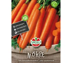 SPERLI Samen Möhre 'Rotin'