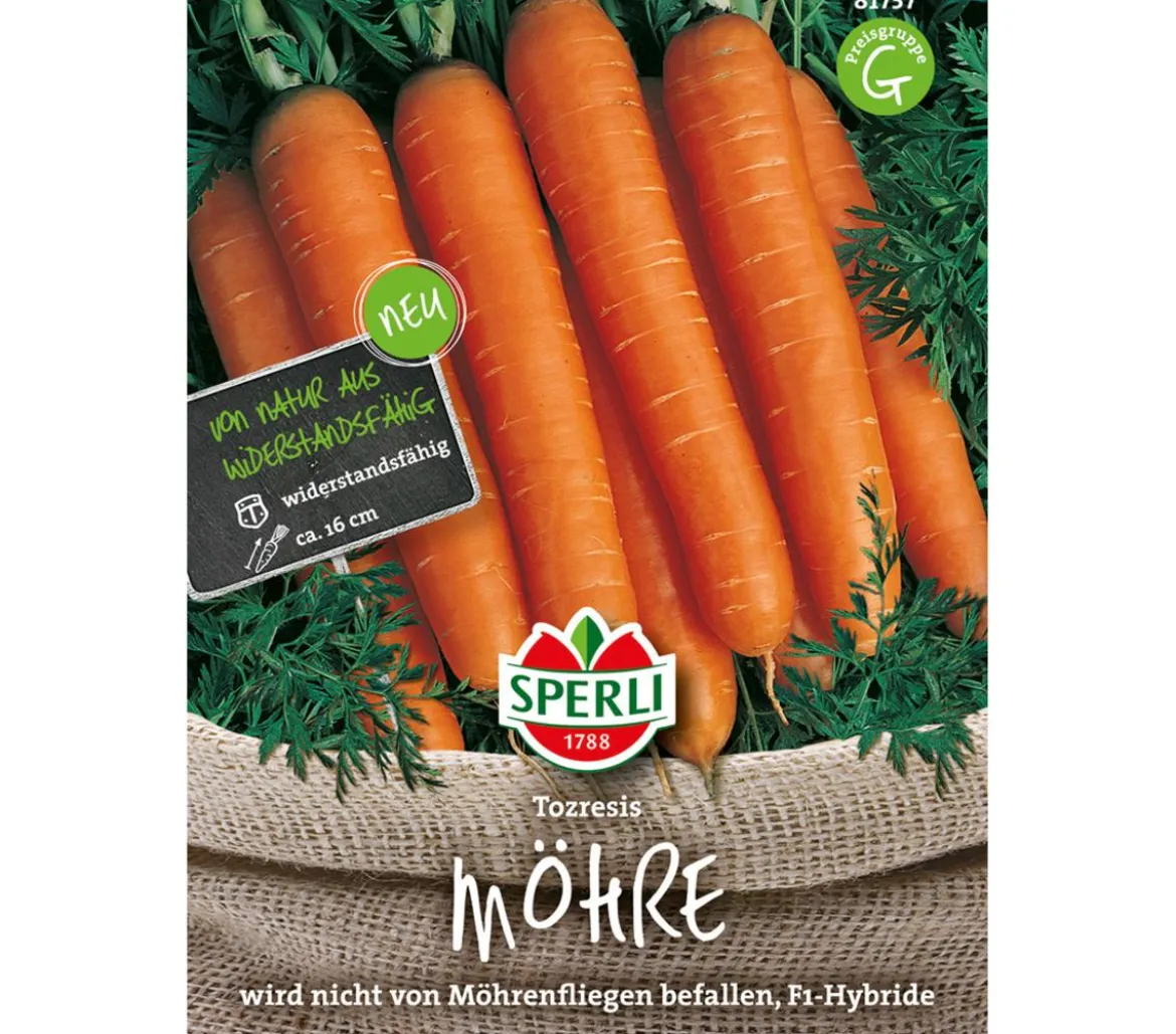 SPERLI Samen Möhre 'Tozresis'