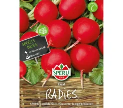 SPERLI Samen Radies 'Parat'
