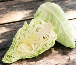 Spitzkohl, 6er Schale
