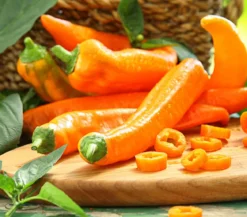 Spitzpaprika, orange