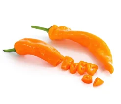 Spitzpaprika, orange