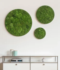 styleGREEN Bild aus Kugelmoos, Ellipsoid, ca. Ø54 cm