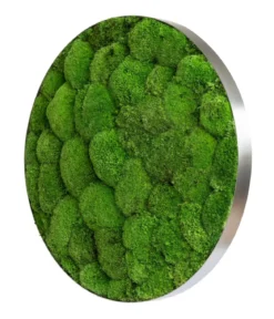 styleGREEN Bild aus Kugelmoos, Ellipsoid, ca. Ø54 cm